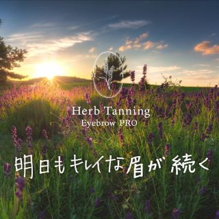 Herb Tanning Eyebrow ティント ビスタブラウン【ゆうパケット】