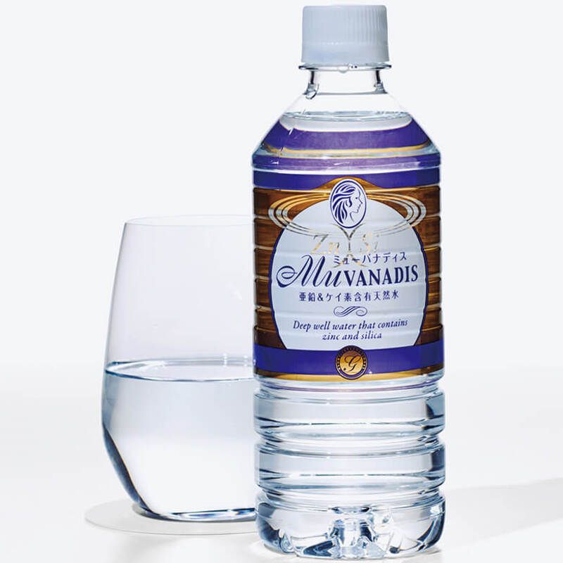 ミューバナディス 500ml(24本)【メーカー直送】【お取り寄せ】