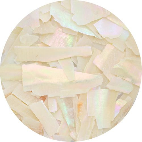 スライスシェル アイボリー【ゆうパケット】