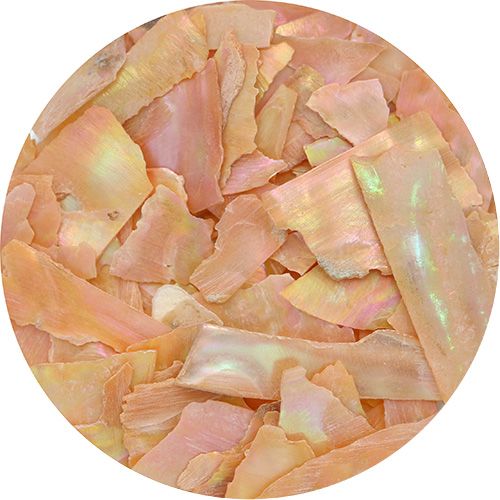 スライスシェル オレンジ【お取り寄せ】【ゆうパケット】