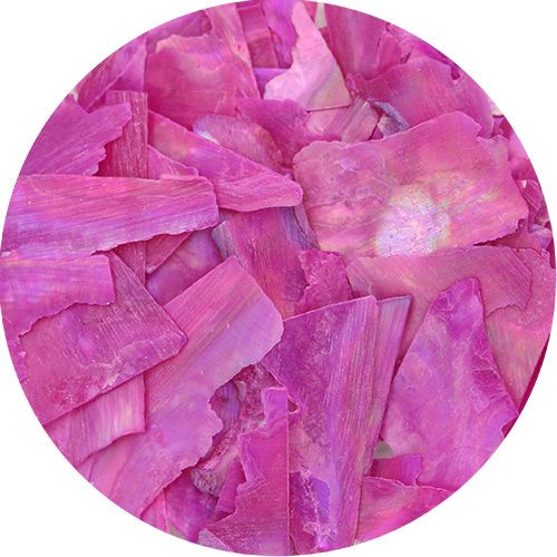 スライスシェル ピンク【お取り寄せ】【ゆうパケット】