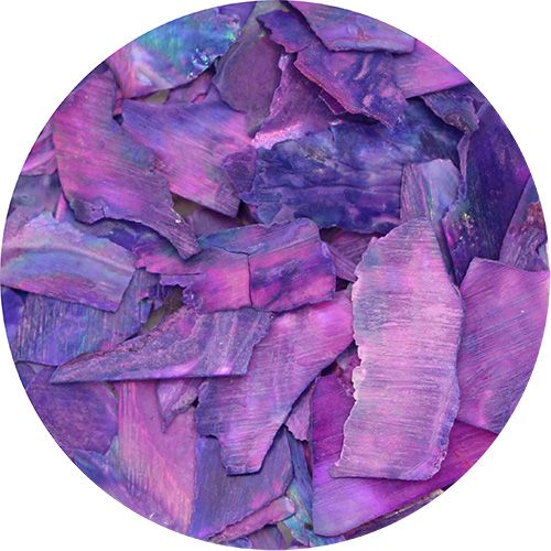 スライスシェル パープル【ゆうパケット】