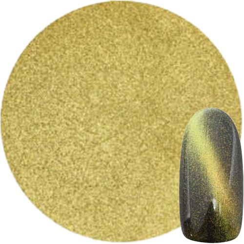 マグネットパウダー ブライトゴールド【お取り寄せ】【ゆうパケット】