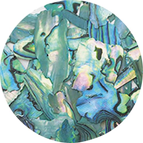 ナチュラルビーチシェル NZ06 グリーンマーブル【お取り寄せ】【ゆうパケット】