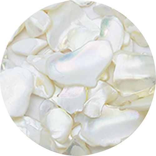 シェルジュエル OB ホワイト【ゆうパケット】