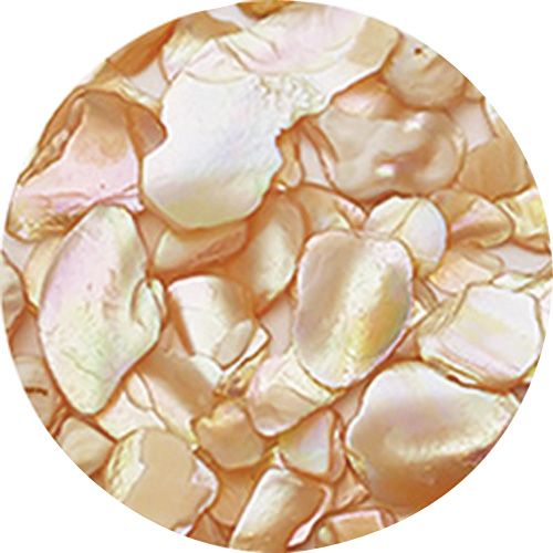 シェルジュエル YB ベージュ【ゆうパケット】