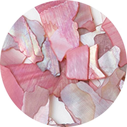 ナチュラルビーチシェル S-2 ベージュMIX【ゆうパケット】