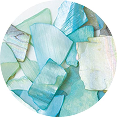 ナチュラルビーチシェル S-3 グリーンMIX【お取り寄せ】【ゆうパケット】