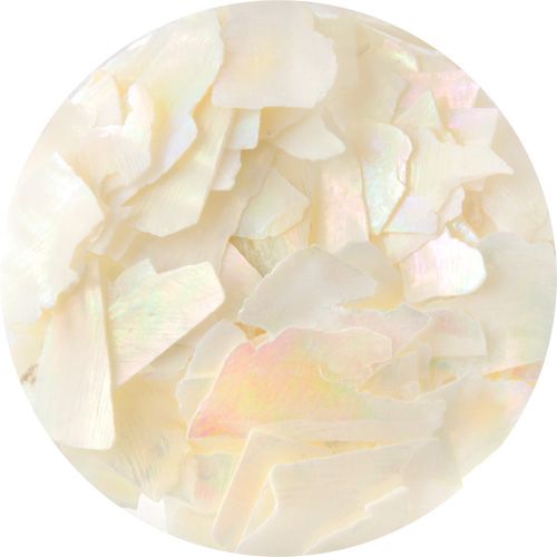 【キラキラハッピーホログラム】HG093 BIGシェル【ゆうパケット】