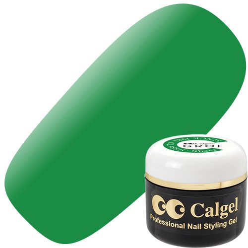 【カラーカルジェルクラシック】カラージェル4g GR01S グリーン【お取り寄せ】