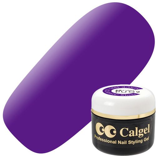 【カラーカルジェルクラシック】カラージェル4g PU02S アメジストパープル【お取り寄せ】