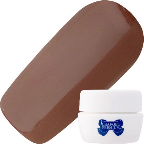 カラージェル4g 041ガナッシュ【お取り寄せ】【ゆうパケット】