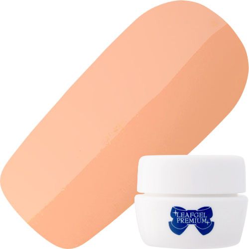 カラージェル4g 069ローズ・ソルベ【お取り寄せ】【ゆうパケット】