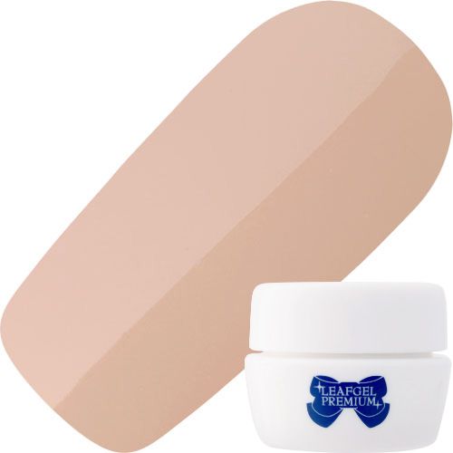 カラージェル4g 095アラシッド・シャンテ【ゆうパケット】