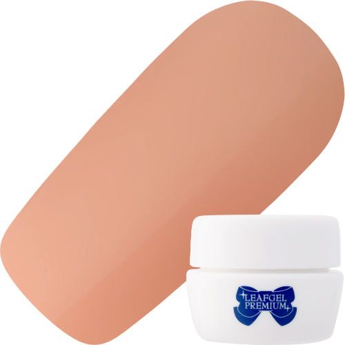 【ヌーディーシリーズ】カラージェル4g 125ブ・ドゥ・ドワ・ラ・レーヌ【ゆうパケット】