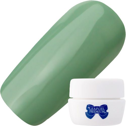 【ヴィンテージシアーシリーズ】カラージェル4g 462 グレイッシュミント【お取り寄せ】【ゆうパケット】