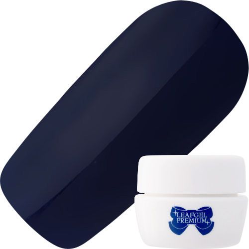 カラージェル4g 509ミステール【ゆうパケット】