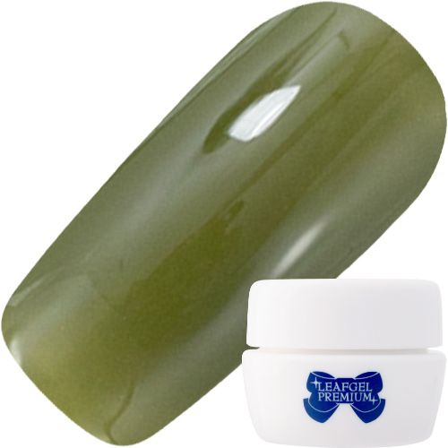 カラージェル4g 543 グラス・グリーン【お取り寄せ】【ゆうパケット】