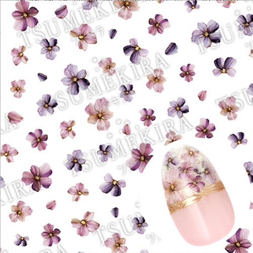 【es】MOMOプロデュース ビオラ mini【お取り寄せ】【ゆうパケット】