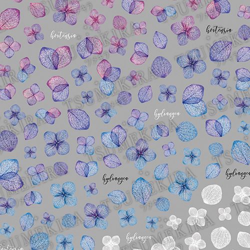 紫陽花3【お取り寄せ】【ゆうパケット】
