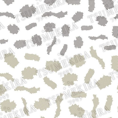 【Fumiプロデュース1】lattice CHECK2/ラティスチェック 2【お取り寄せ】【ゆうパケット】