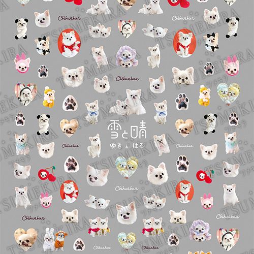 【奥畑実奈プロデュース】雪と晴ネイルシール【お取り寄せ】【ゆうパケット】