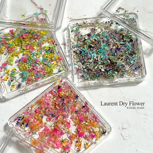 ローランドライフラワー3色セット【ゆうパケット】