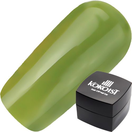 【ブレッドプディングシリーズ 】カラージェル 2.5g E243S ピスタチオブレッドプディング【お取り寄せ】【ゆうパケット】