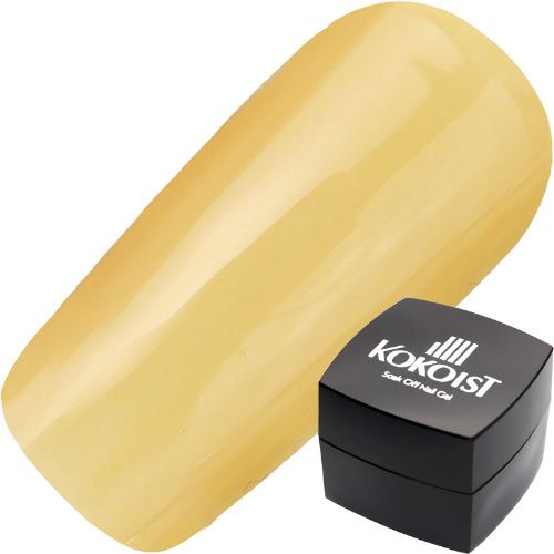 【ブレッドプディングシリーズ 】カラージェル 2.5g E244S チックピーブレッドプディング【お取り寄せ】【ゆうパケット】