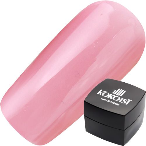 【ブレッドプディングシリーズ 】カラージェル 2.5g E246S フィグブレッドプディング【ゆうパケット】