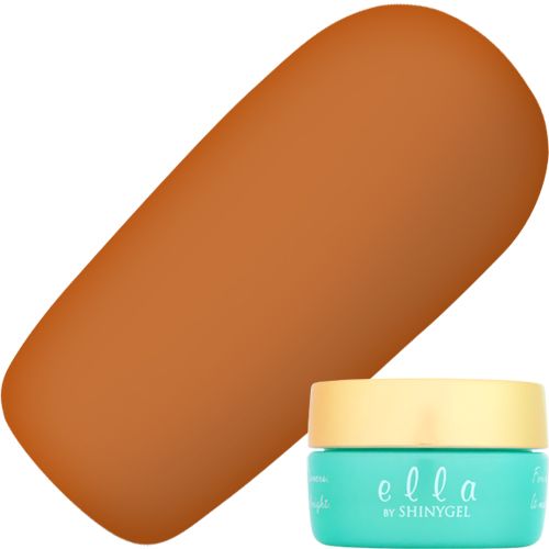 バイオマスカラージェル2g E107 アース【ゆうパケット】