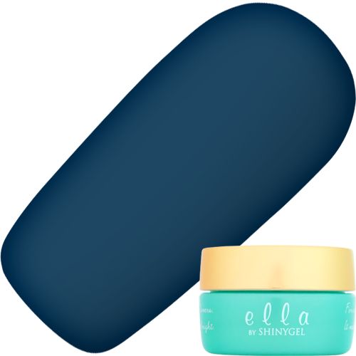 カラージェル2g E113 ブルーアッシュ【ゆうパケット】