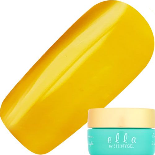 【nova/シロップシリーズ】カラージェル2g 1027 ハニーシロップ【ゆうパケット】