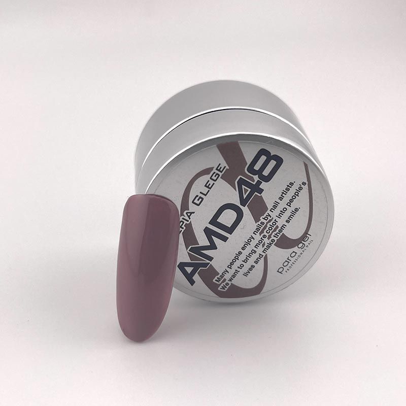 アートカラージェル2g AMD48 セピアグレージュ【お取り寄せ】【ゆうパケット】