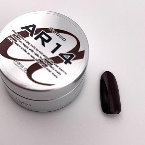 アートカラージェル4g AR14 チョコ【お取り寄せ】【ゆうパケット】