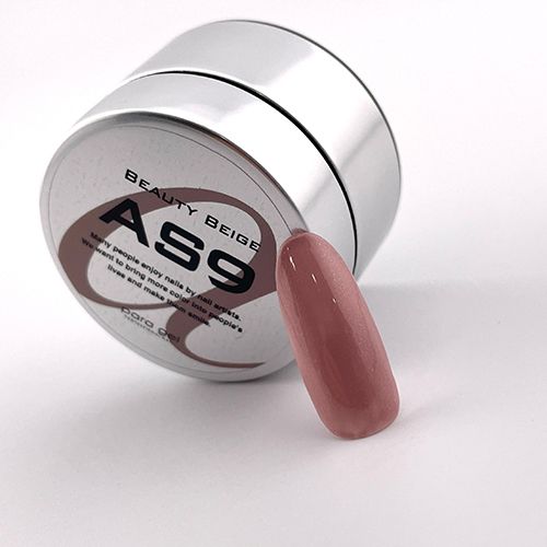 アートカラージェル4g AS9 ビューティーベージュ【お取り寄せ】【ゆうパケット】