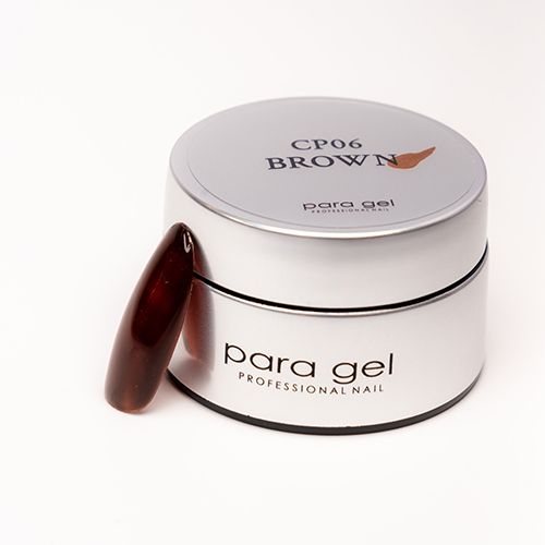 【カラーパレット】デザイナーズカラージェル4g  CP06 ブラウン【お取り寄せ】【ゆうパケット】