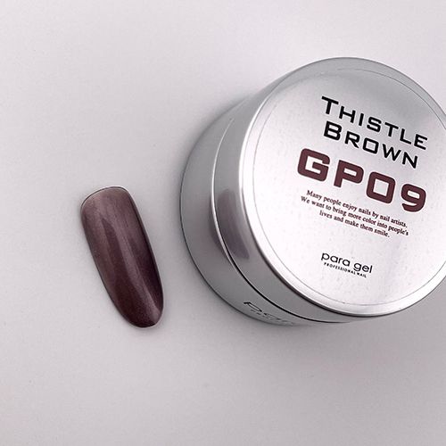 【CAPLUS NAIL】カラージェル4g  GP09 シスルブラウン【お取り寄せ】【ゆうパケット】