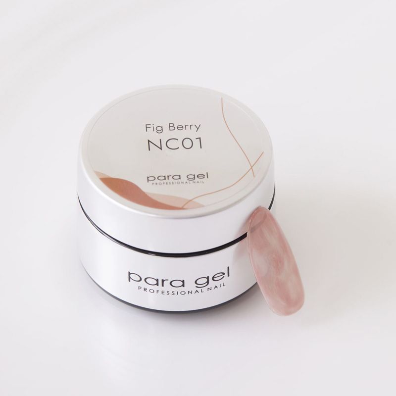 デザイナーズカラージェル NC01 フィグベリー4g【お取り寄せ】【ゆうパケット】