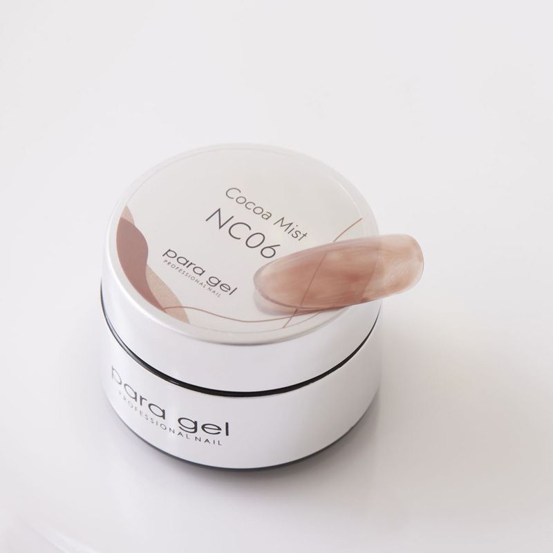 デザイナーズカラージェル NC06 ココアミスト4g【お取り寄せ】【ゆうパケット】