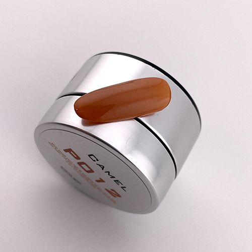 カラージェル4g P012 キャメル【お取り寄せ】【ゆうパケット】