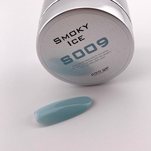 カラージェル4g S009 スモーキーアイス【お取り寄せ】【ゆうパケット】