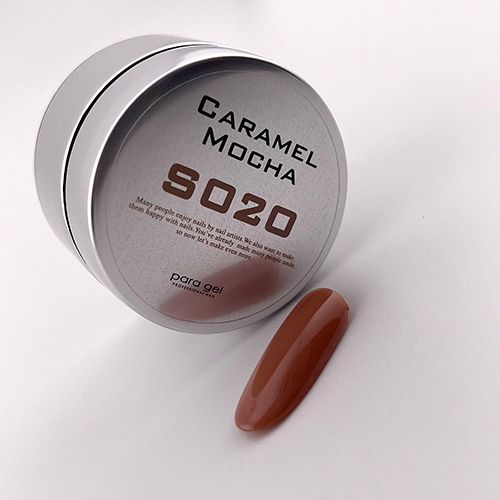 カラージェル4g S020 キャラメルモカ【お取り寄せ】【ゆうパケット】