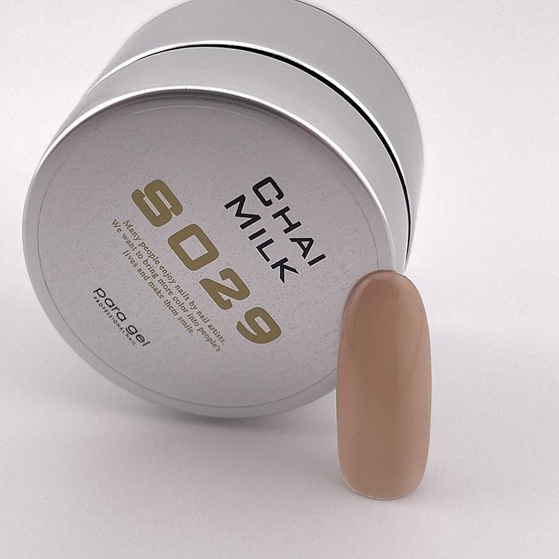 カラージェル4g S029 チャイミルク【お取り寄せ】【ゆうパケット】