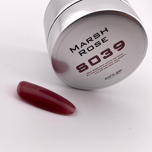 カラージェル4g S039 マーシュローズ【お取り寄せ】【ゆうパケット】