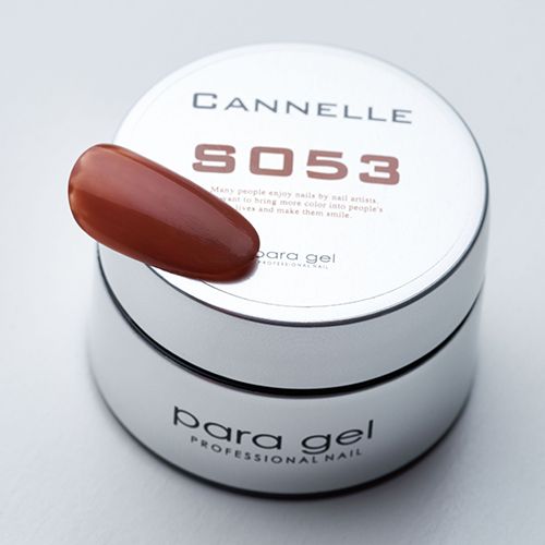 【2022春夏/Prodused byAizawaEri,chie】カラージェル4g S053 カネル【お取り寄せ】【ゆうパケット】