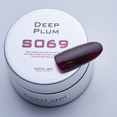 【2022Winter Collection】カラージェル4g S069 ディーププラム【お取り寄せ】【ゆうパケット】