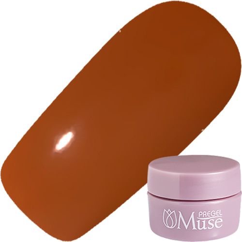 【カフェシリーズシリーズ】プリジェルミューズ3g M1076 キャラメルモカ【お取り寄せ】【ゆうパケット】