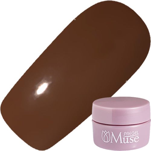 【カフェシリーズシリーズ】プリジェルミューズ3g M1077 アフォガード【ゆうパケット】