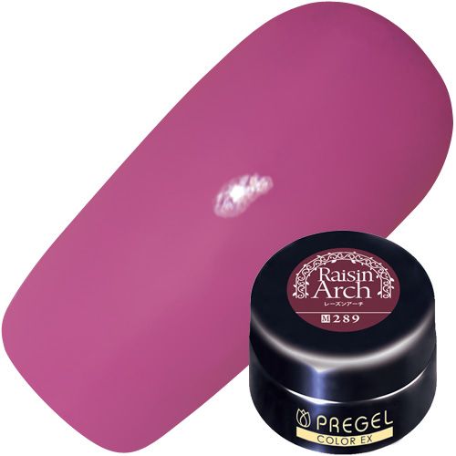 カラーEX4g 289 レーズンアーチ【お取り寄せ】【ゆうパケット】